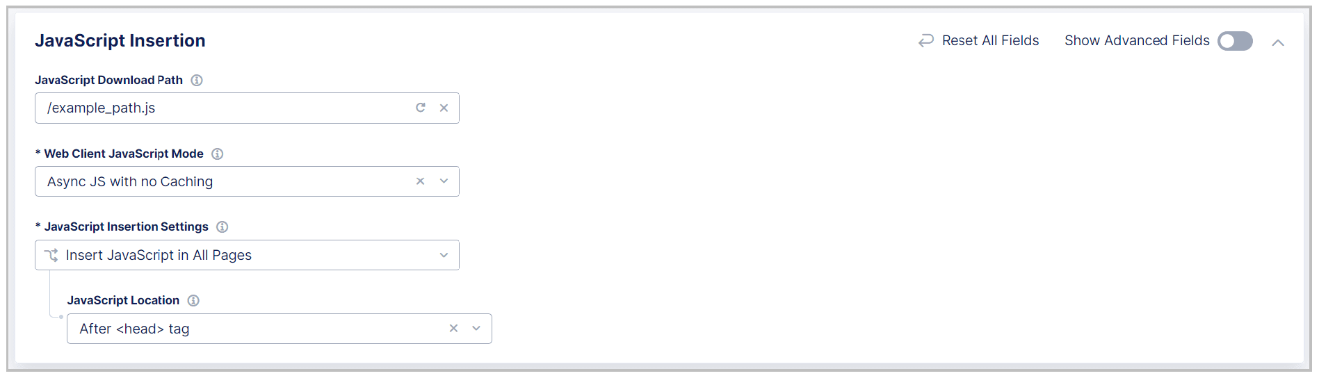 Figure: Configure JavaScript Injection